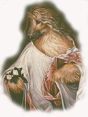 Copia di Catz 9